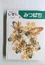 キンダーブック 3  しぜん3  みつばち