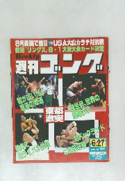 週刊ゴング (Weekly Gong)　June 27, 1991 (No. 365)