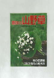 趣味の山野草 1993年4月号
