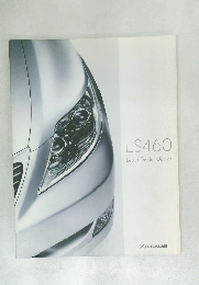 Lexus Dealer Option