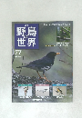 週刊野鳥の世界　77　(11/8/23)