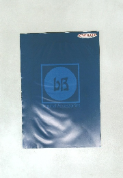 TOYOTA bB カタログ 