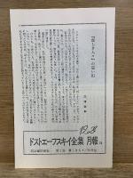 ドストエーフスキイ全集　愛蔵決定版