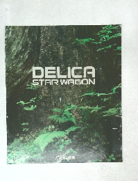 DELICA　STAR　WAGON
