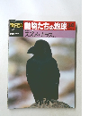 動物たちの地球　３４