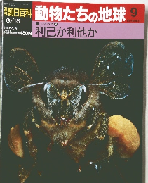朝日百科動物たちの地球　9