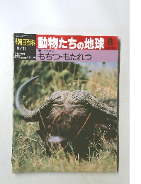 動物たちの地球 8