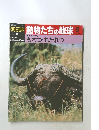 動物たちの地球 8