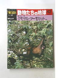動物たちの地球　42
