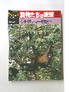 動物たちの地球　42