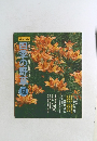 別冊山と渓谷　四季の野草　夏