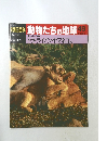週刊朝日百科　動物たちの地球　No.49　哺乳類II①　トラ・ライオン・ヤマネコ ほか