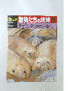 朝日百科動物たちの地球51　