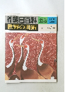 週刊世界の美術　世界の美術　138号　近・現代の工芸・デザイン・建築