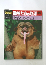 週刊朝日百科　動物たちの地球　No.46　哺乳類 Ⅰ ⑩　クマ・パンダ・ラッコミ