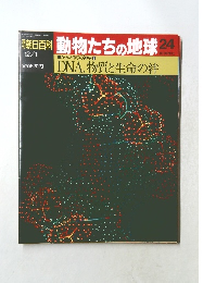 朝日百科　動物たちの地球　No.24　からだ作りの神秘 2  DNA、物質と生命の絆