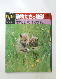 朝日百科動物たちの地球45　オオカミ・キツネタヌキが