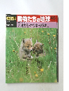 朝日百科動物たちの地球45　オオカミ・キツネタヌキが