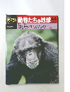 朝日百科 動物たちの地球 44