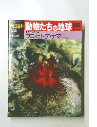 朝日百科動物たちの地球　66