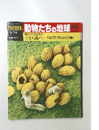 朝日百科　動物たちの地球　48