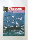 朝日百科動物たちの地球52