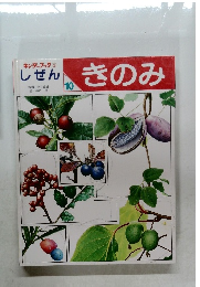 しぜん　きのみ　10