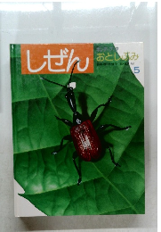 キンダーブックしぜん 5　おとしぶみ