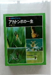 科学のアルバム　アカトンボの一生