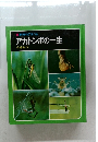 科学のアルバム　アカトンボの一生