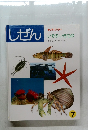 しぜん 7　いそのいきもの