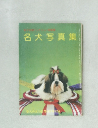 名犬写真集