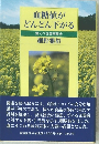 血糖値が  どんどん下がる 