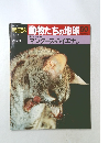 朝日百科 動物たちの地球 50