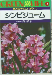 GREEN&LIFE　7　シンビジューム