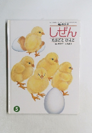 しぜん 5　たまごとひよこ
