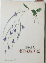 私の植物図鑑