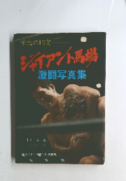 ジャイアント馬場 激闘写真集