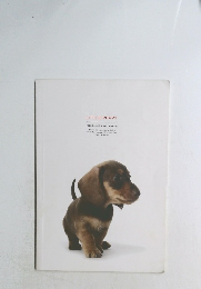 LITTLE PUPPY