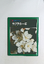 サクラの一年