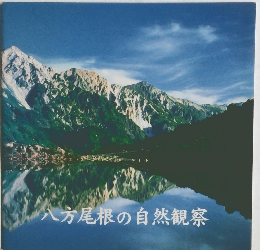八方尾根の自然観察