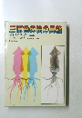 三原色の絵の具箱