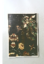 第61回 正倉院展