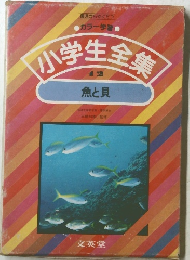 カラー学習 小学生全集 12 魚と貝