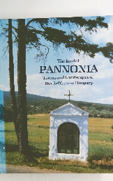 The Land of Pannonia: Towns and Landscapes of North-Western Hungary