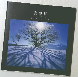 裏磐梯  風をとらえたもの