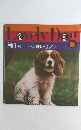 LovelyDog 可愛い仔犬)
