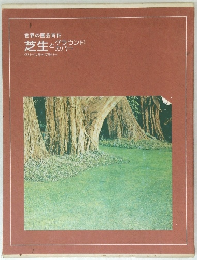 世界の園芸百科  芝生とグラウンドカバー