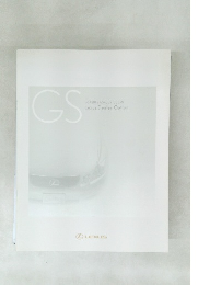 GS Lexus Dealer Option