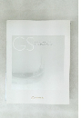 GS Lexus Dealer Option